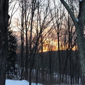 Meet your Posher, Jeffrey